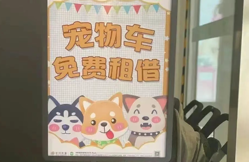 “它经济”日益兴起，深圳激发宠物消费活力