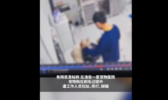 宠物医院回应 “工作人员摔打小狗致骨折”：全力配合宠主处理​