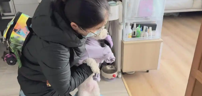 2025年宠物寄养市场：价格已接近酒店，供不应求！