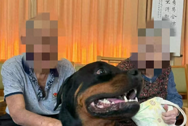 助教犬上课途中疑中毒死亡！宠物安全遭威胁