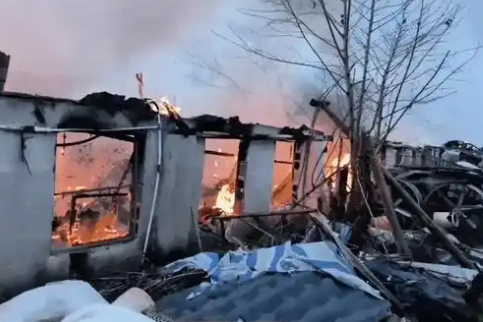 电线短路 内蒙古20000只活鸡无一存活 惨变“烤鸡”