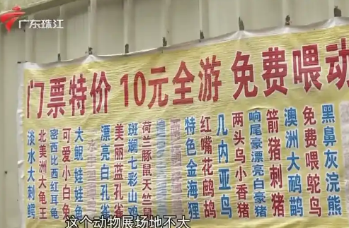 中山一动物园收费仅10元，最火时收入破千，还能免费投喂