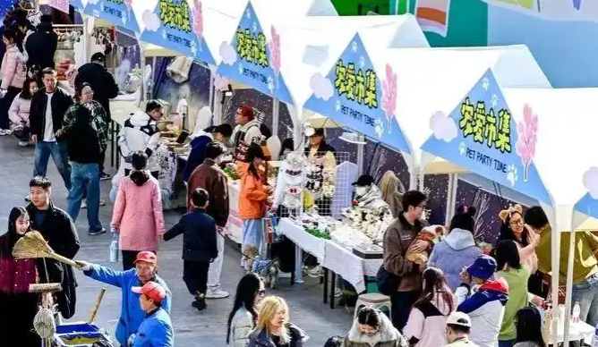 济南春日“百工集宠爱大会”，公益领养与消费升级并行