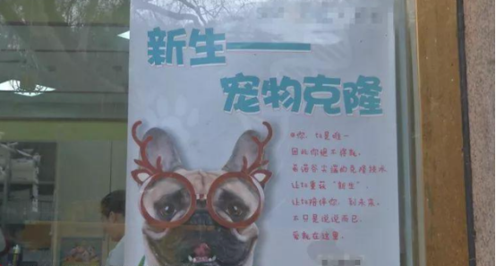 宠物狗可“永生”了？！花38万元帮狗狗“复活”，你愿意吗？