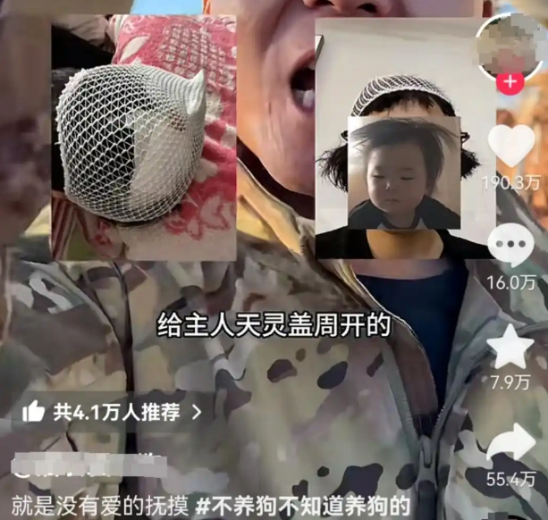 宠物狗送去驯化成网红，主人拿回狗狗被要求签“百万赔偿合同”