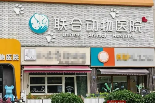 宠物猫手术后突然死亡，猫主人想要调取监控遭宠物医院拒绝