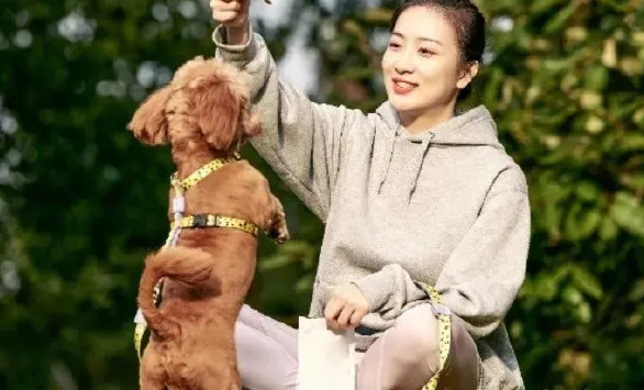 调查显示：83%的宠主认为宠物对心理健康有积极影响