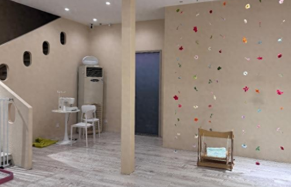 宠物狗也上“日托班”，一天72元，早十晚八