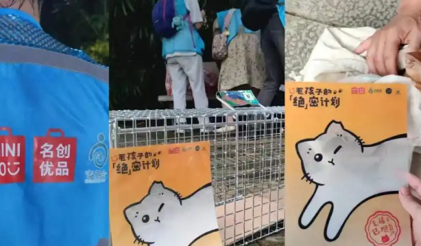 拯救流浪动物，他们掏了1000万