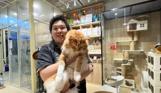 90后男生给狗狗做造型年入百万，成宠物界“超级Tony”