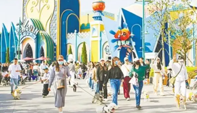 郑州海昌海洋公园开启 “宠物友好日”