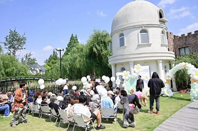 上海“铲屎官”为狗狗举办婚礼 造型师：单只狗造型花费上千元
