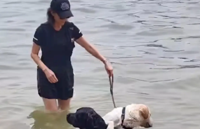 刘嘉玲在豪宅为狗庆生，两只狗戴领结出镜！