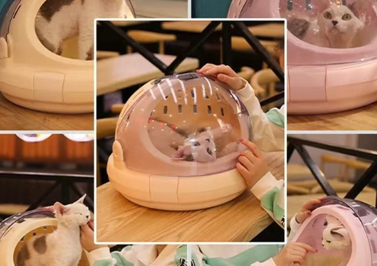 毛茸茸经济是怎么回事——关于中国宠物经济的研究