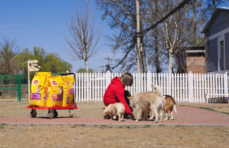 当玛氏用实际行动，为城市按下“宠物友好键”