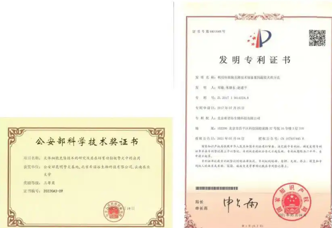 花11万克隆“复活”宠物狗，实验多次失败，退款也拿不到！