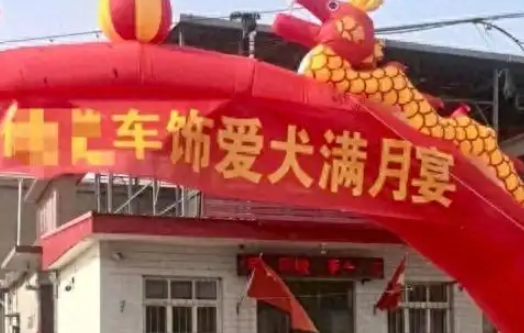 河北村民给狗办满月宴引争议，被指违背道德良俗