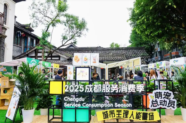 宠物消费火热，成都上演“萌宠总动员”