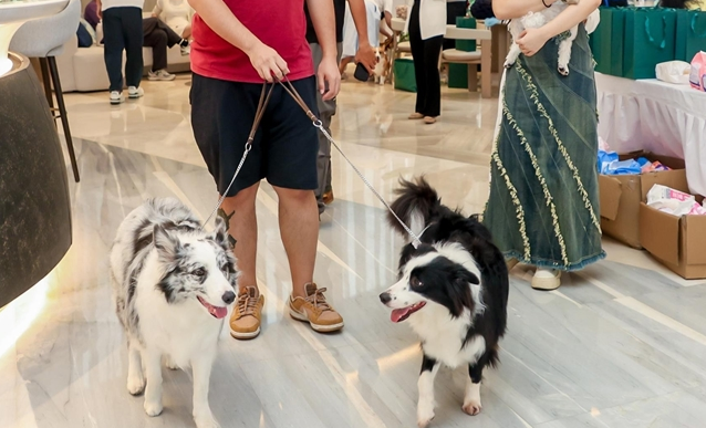 三亚宠物乐园 “五一” 人气爆棚，吸引游客前往