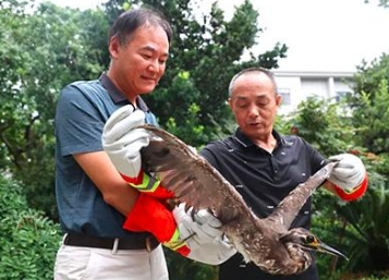 安远快递小哥救下“神秘怪鸟”，竟是国家一级保护动物