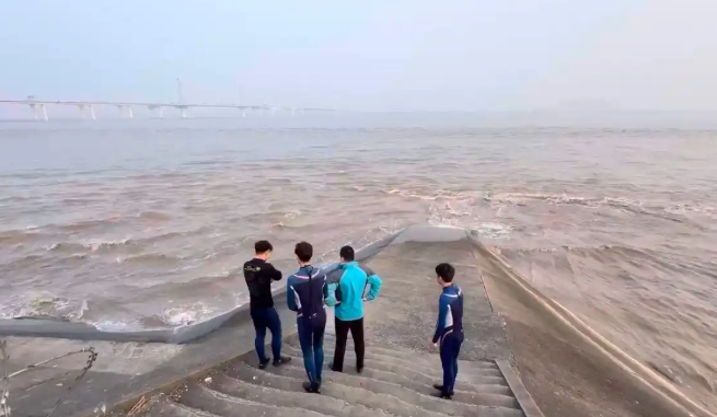 海豚三次现身钱塘江，相关部门随时准备救援