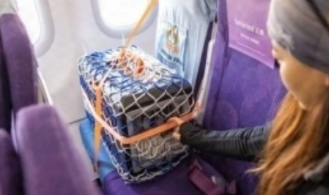 宠物友好出行，下一站有多远？