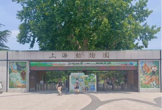 驱赶“喂奶10月龄婴儿夫妇”，上海动物园何必死守规则？