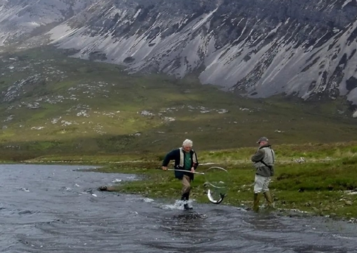 2.7万条养殖三文鱼逃逸 抓一条鱼奖励346元！