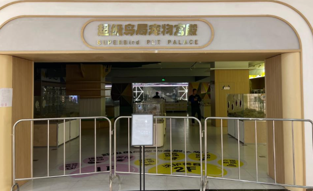 上海宠物店闭店风波：8000㎡巨型门店的 48 小时生命接力