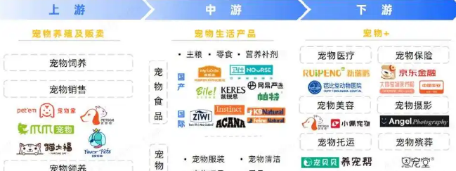 从“吸猫撸狗”到万亿赛道，“它经济”何以成资本市场新宠？