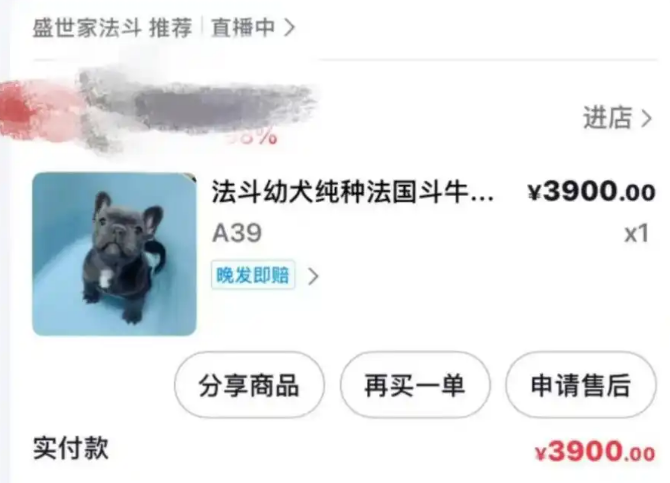 花3900买宠物狗，刚到家就抽搐、拉肚子