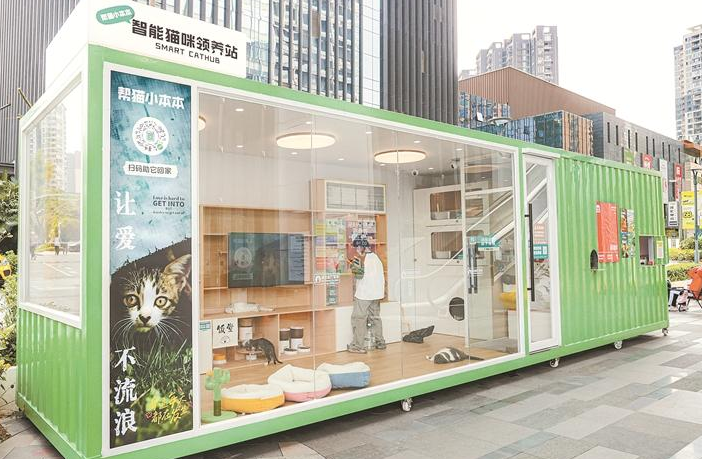 宠物数量超百万只 产业规模达百亿元 深圳“它经济”活力十足