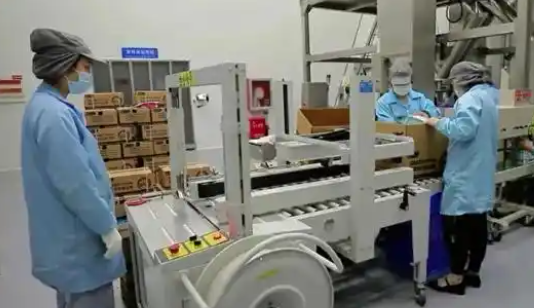 购买猫咪跑步机让猫减肥 “宠物细分市场经济”蓬勃发展