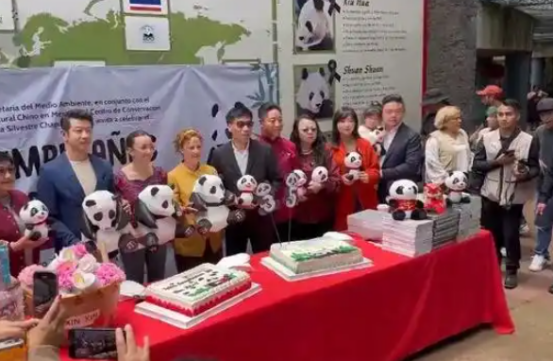 墨西哥举行大熊猫“欣欣”35岁生日庆祝活动