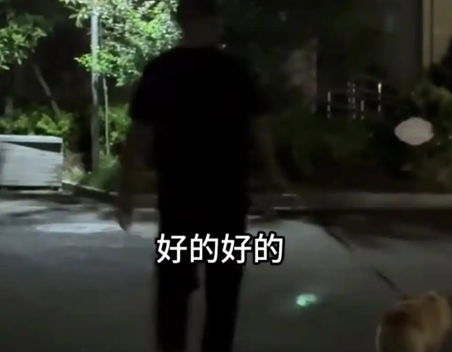 男子遛狗咬伤孕妇，拒绝道歉称“你让狗给你道歉”