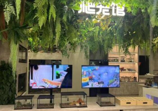 冷门动物催生“热经济”，异宠撬动百亿新赛道