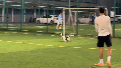 狗子会截球，还会把足球往球门里踢。网友：足球小狗，太强了 