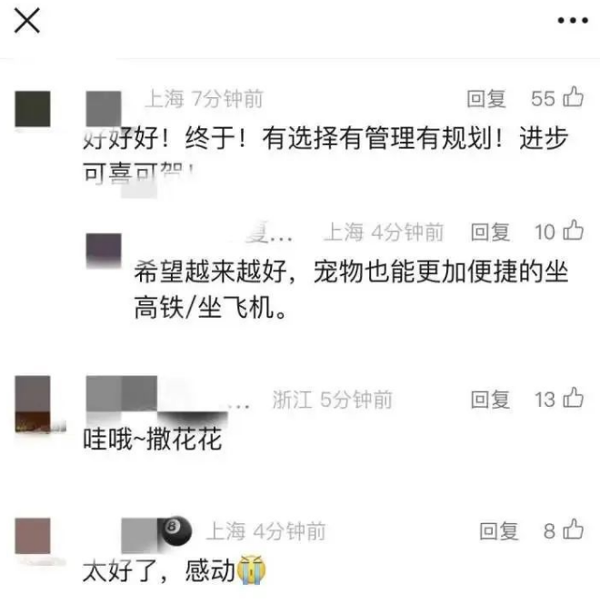 坐火车托运猫咪18小时后等来空箱！