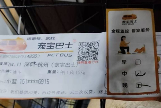宠物法斗犬托运途中死亡 主人质疑虚假宣传