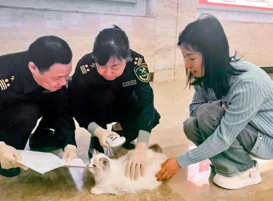 “携带出境宠物检疫”系统落地湖北，萌宠跨境通关更便捷