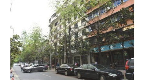 成都街头天降虫雨 一车爬满近百条毛虫