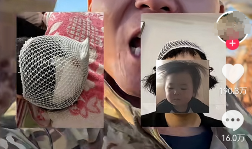 宠物狗送去驯化成网红，被要求签“百万赔偿合同”