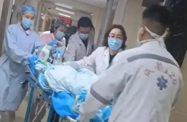 罗威纳犬主人已被采取刑事强制措施！