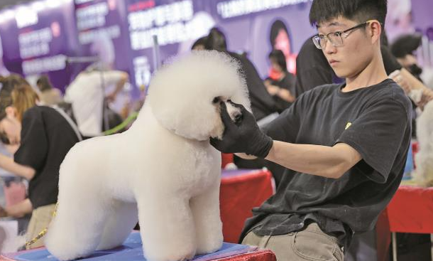 第五届TOPS它博会宠物展新品涌现，引发热议