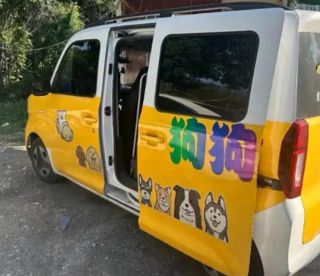 专业宠物乐园成宠主社交新据点