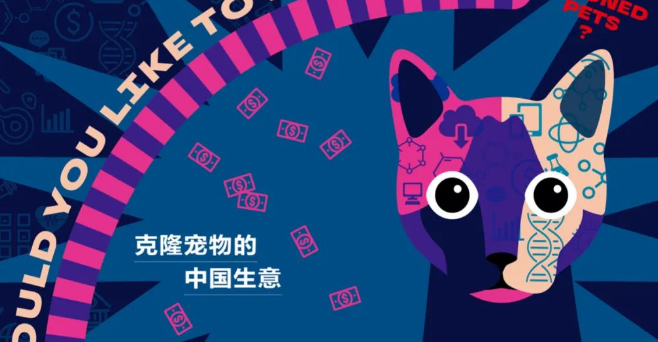 花四十万克隆宠物的中国人，在想什么？