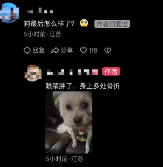 宠物医院员工暴力摔打小狗致骨折，同事看到也不制止！