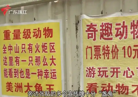 中山一动物园收费仅10元，最火时收入破千，还能免费投喂