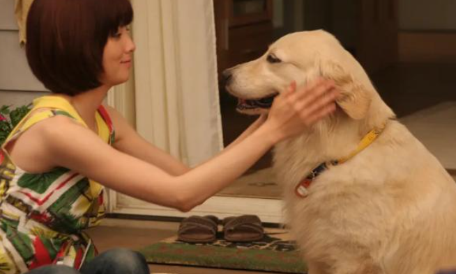 兼职“上门铲屎官”老卢的别样生活