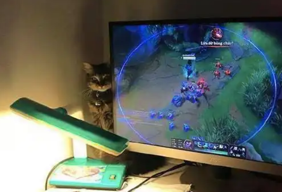 主人坐着打游戏，猫咪就在屏幕旁盯着看，眼神有点恐怖